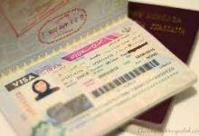 d8b5d8afd988d8b1 d988db8cd8b2d8a7db8c d8a7db8cd8b1d8a7d986 d8afd8b1 d9bedb8cda86 d988 d8aed985 d8a7d981d8aad8a7d8af 65a83f07692a5