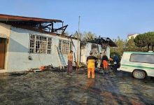 d8b5d8afd988d8b1 daa9db8cd981d8b1d8aed988d8a7d8b3d8aa d9bed8b1d988d986d8afd987 d8a2d8aad8b4 d8b3d988d8b2db8c daa9d985d9be d8aad8b1daa9 65a52b3301a63