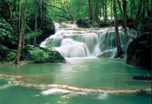 d8b5d986d8b9d8aa d986d988d9bed8a7db8c daafd8b1d8afd8b4daafd8b1db8c d986db8cd8a7d8b2d985d986d8af d8aad988d8acd987 d988db8cda98d987 d8a7 65a68b527408e