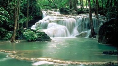 صنعت نوپای گردشگری نیازمند توجه ویژه است 1 d8b5d986d8b9d8aa d986d988d9bed8a7db8c daafd8b1d8afd8b4daafd8b1db8c d986db8cd8a7d8b2d985d986d8af d8aad988d8acd987 d988db8cda98d987 d8a7 65a68b527408e