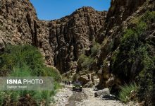 d8b6d8b1db8cd8a8 d8a7d8b4d8bad8a7d984 d8aad8aed8aa d8a7d982d8a7d985d8aadb8c d8afd8b1 d982d988da86d8a7d986 d8a8d987 dbb5dbb3 d8afd8b1d8b5 65a818a8451d9