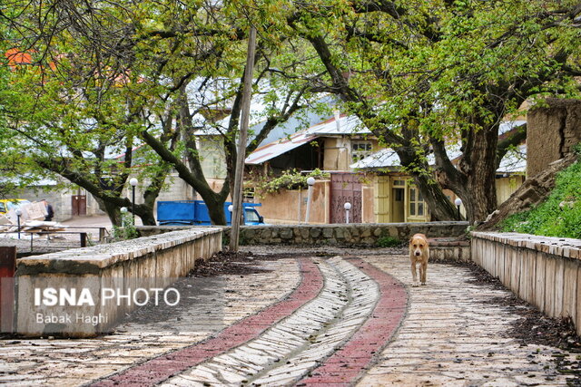 طبیعت بکر و زیبای روستای گیلوان 9 طبیعت بکر و زیبای روستای گیلوان