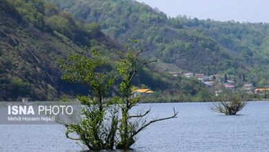 طرح های گردشگری تالاب استیل آستارا گرفتار در پیچ و خم اداری 1 d8b7d8b1d8ad d987d8a7db8c daafd8b1d8afd8b4daafd8b1db8c d8aad8a7d984d8a7d8a8 d8a7d8b3d8aadb8cd984 d8a2d8b3d8aad8a7d8b1d8a7 daafd8b1 65a4cadd3ff11