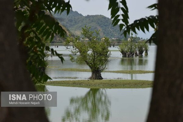 طرح های گردشگری تالاب استیل آستارا گرفتار در پیچ و خم اداری 3 طرح های گردشگری تالاب استیل شهرستان مرزی آستارا گرفتار در پیچ و خم اداری