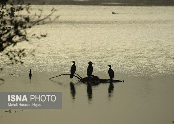 طرح های گردشگری تالاب استیل آستارا گرفتار در پیچ و خم اداری 4 طرح های گردشگری تالاب استیل شهرستان مرزی آستارا گرفتار در پیچ و خم اداری