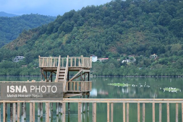 طرح های گردشگری تالاب استیل آستارا گرفتار در پیچ و خم اداری 5 طرح های گردشگری تالاب استیل شهرستان مرزی آستارا گرفتار در پیچ و خم اداری