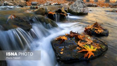 طرح گردشگری سراب کنگاور کهنه و سراب فارسبان نهاوند در دست بررسی است 4 d8b7d8b1d8ad daafd8b1d8afd8b4daafd8b1db8c d8b3d8b1d8a7d8a8 daa9d986daafd8a7d988d8b1 daa9d987d986d987 d988 d8b3d8b1d8a7d8a8 d981d8a7d8b1 65a4e5718e433