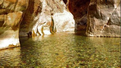 d8b8d8b1d981db8cd8aad987d8a7db8c d8b7d8a8d8b3 d8afd8b1 d8add988d8b2d987 d8acd8b0d8a8 daafd8b1d8afd8b4daafd8b1db8c d8a8d8b3db8c 65a4860694997