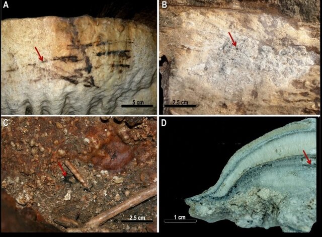 غاری که از ۴۱هزار سال قبل توریستی بوده است 3 غاری که از ۴۱هزار سال قبل توریستی بوده است