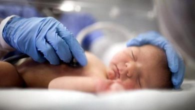 غربالگری بیماریهای ژنتیکی در دوران بارداری «اختیاری» است 1 d8bad8b1d8a8d8a7d984daafd8b1db8c d8a8db8cd985d8a7d8b1db8cd987d8a7db8c da98d986d8aadb8cdaa9db8c d8afd8b1 d8afd988d8b1d8a7 65a4abc2c97e2