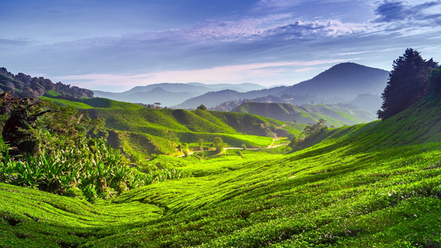 قیمت تور مالزی با سلام ایر و ایرعربیا 2 قیمت تور مالزی با سلام ایر و ایرعربیا