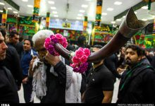 d985d8b1d987d985 d8a2db8cdb8cd986d987d8a7 d8a8d8b1 d8aad986 daafd8b1d8afd8b4daafd8b1db8c d8a8d988d8b4d987d8b1 65a68cf434265