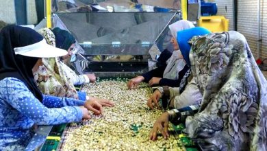 مزایای تشکیل تعاونیهای توسعه و عمرانی شهرستانی 7 d985d8b2d8a7db8cd8a7db8c d8aad8b4daa9db8cd984 d8aad8b9d8a7d988d986db8cd987d8a7db8c d8aad988d8b3d8b9d987 d988 d8b9d985d8b1d8a7d986 65a51073abf1b