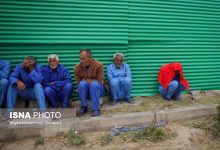 d985d8b9d8aad8a7d8afd8a7d986 d985d8aad8acd8a7d987d8b1d89b da86d8a7d984d8b4 d8a8d8b2d8b1daaf d8a8d987d8b2db8cd8b3d8aadb8c d8b3db8cd8a7 65a51d4caf72d