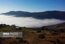 d985d987d8afdb8cd8b4d987d8b1 d8afdb8cd8a7d8b1 d985d986d8a7d8b8d8b1 da86d8b4d985 d986d988d8a7d8b2 d8aad8b5d8a7d988db8cd8b1 65a63ec437013