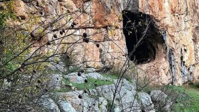 موزه پارینه سنگی در رودبار افتتاح می شود 5 d985d988d8b2d987 d9bed8a7d8b1db8cd986d987 d8b3d986daafdb8c d8afd8b1 d8b1d988d8afd8a8d8a7d8b1 d8a7d981d8aad8aad8a7d8ad d985db8c 65a4ef824c41c