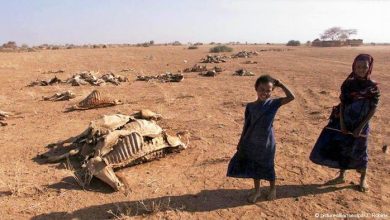 میلیونها کودک قربانی پیامدهای خشکسالی شدید در شرق آفریقا 1 d985db8cd984db8cd988d986d987d8a7 daa9d988d8afdaa9 d982d8b1d8a8d8a7d986db8c d9bedb8cd8a7d985d8afd987d8a7db8c d8aed8b4daa9d8b3d8a7 65a5739fc7062