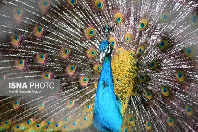 نوار مرزی آستارا؛ جاذبه ممتاز گردشگری/ گردشگری دریایی ظرفیت مغفول مانده 4 نوار مرزی آستارا؛ جاذبه ممتاز گردشگری/ گردشگری دریایی ظرفیت مغفول مانده