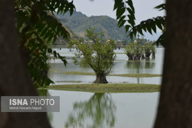 نوار مرزی آستارا؛ جاذبه ممتاز گردشگری/ گردشگری دریایی ظرفیت مغفول مانده 7 نوار مرزی آستارا؛ جاذبه ممتاز گردشگری/ گردشگری دریایی ظرفیت مغفول مانده