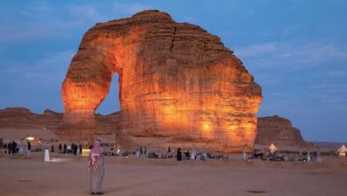 هجوم گردشگران به عربستان 6 d987d8acd988d985 daafd8b1d8afd8b4daafd8b1d8a7d986 d8a8d987 d8b9d8b1d8a8d8b3d8aad8a7d986 65a6686e0ad9c