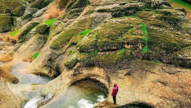 هفتحوض میتواند سلامتکده گردشگری کشور باشد 7 d987d981d8aad8add988d8b6 d985db8cd8aad988d8a7d986d8af d8b3d984d8a7d985d8aadaa9d8afd987 daafd8b1d8afd8b4daafd8b1db8c daa9 65a672e9e75d0