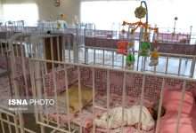 d988d8a7daafd8b0d8a7d8b1db8c d8aad985d8a7d985db8c d981d8b1d8b2d986d8afd8a7d986 dbb2 d8b4db8cd8b1d8aed988d8a7d8b1daafd8a7d987 d985d8b9 65a56ab7060ca