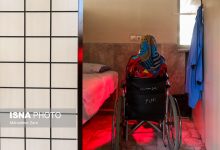 d988d8b1d988d8af d987d984d8a7d984 d8a7d8add985d8b1 d8a8d987 d8add984 da86d8a7d984d8b4d987d8a7db8c d8a7d8b2d8afd988d8a7d8ac d985 65a4acf9ad234