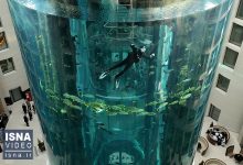 d988db8cd8afd8a6d988 d8b1d8af d8a7d8add8aad985d8a7d984 d8aed8b1d8a7d8a8daa9d8a7d8b1db8c d8afd8b1 d8aad8b1daa9db8cd8afd986 d8a2daa9d988 65a66761a1b02