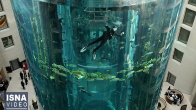 ویدئو / رد احتمال خرابکاری در ترکیدن آکواریوم بزرگ برلین 9 d988db8cd8afd8a6d988 d8b1d8af d8a7d8add8aad985d8a7d984 d8aed8b1d8a7d8a8daa9d8a7d8b1db8c d8afd8b1 d8aad8b1daa9db8cd8afd986 d8a2daa9d988 65a66761a1b02