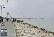 d988db8cd8afdb8cd988 d8b4d8a7d984d988d987d8a7d88c d8a7d988d984db8cd986 d985d987d985d8a7d986d987d8a7db8c d986d988d8b1 65a641d0465db