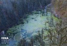 d988db8cd8afdb8cd988 d985d8b1d8afd8a7d8a8db8c d988d987d985d8a7d986daafdb8cd8b2 d8a7d985d8a7 d8b2db8cd8a8d8a7 d8afd8b1 daa9d984 65a4901b29fe0