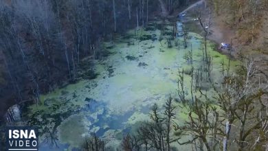 d988db8cd8afdb8cd988 d985d8b1d8afd8a7d8a8db8c d988d987d985d8a7d986daafdb8cd8b2 d8a7d985d8a7 d8b2db8cd8a8d8a7 d8afd8b1 daa9d984 65a4901b29fe0