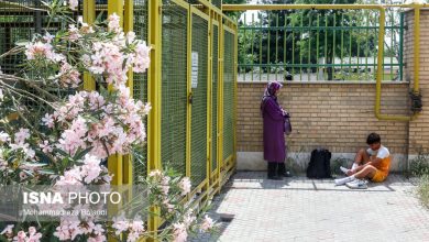 ویدیو/ مشکلات دلالی و اتباع افغان در مدارس فوتبال/ آنچه والدین باید بدانند 6 d988db8cd8afdb8cd988 d985d8b4daa9d984d8a7d8aa d8afd984d8a7d984db8c d988 d8a7d8aad8a8d8a7d8b9 d8a7d981d8bad8a7d986 d8afd8b1 d985d8afd8a7 65a5773fd8199