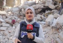 d9bed8aed8b4 d9bedb8cd8a7d985 d8aed8a8d8b1d986daafd8a7d8b1 d8a7d984d8b9d8a7d984d985 d8afd8b1 d8afdb8cd8afd8a7d8b1 d8a7d985d8b1d988d8b2 65a49327c443c