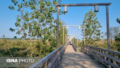 d9bedb8cd8a7d8afd987d8b1d988db8c d8b1d988db8c d8aad8a7d984d8a7d8a8 d8a8d988d8acd8a7d982 d8a8d8a7 d8afd8b1d8aed8aad8a7d986db8c 65a4a24c48d17