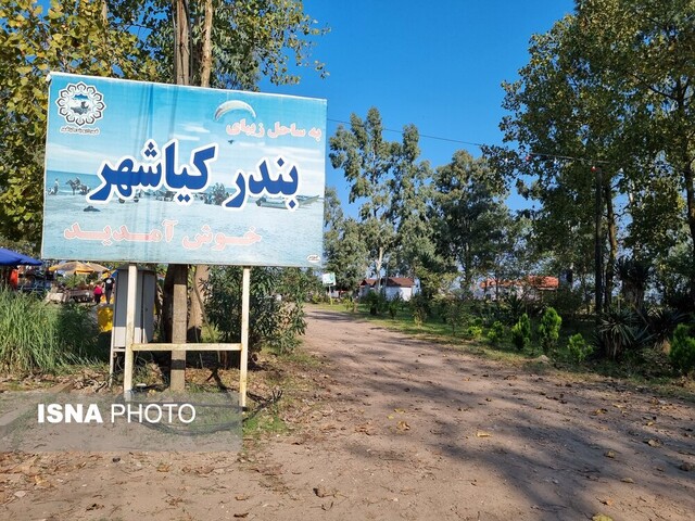 پیاده‌روی روی تالاب بوجاق با درختانی که از عصر یخبندان جان سالم به در برده‌اند