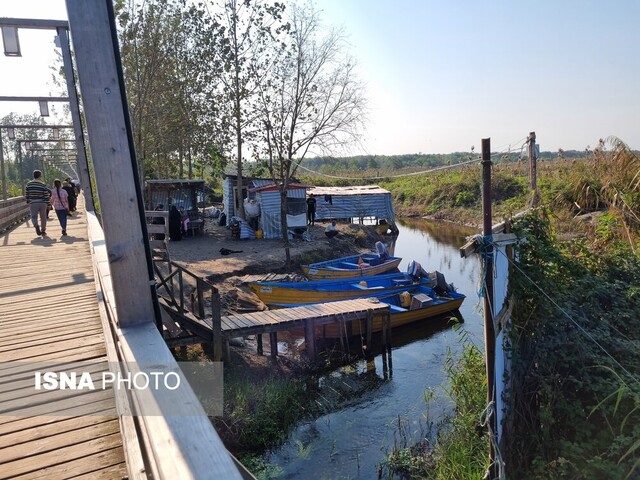 پیاده‌روی روی تالاب بوجاق با درختانی که از عصر یخبندان جان سالم به در برده‌اند