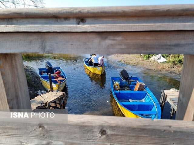 پیاده‌روی روی تالاب بوجاق با درختانی که از عصر یخبندان جان سالم به در برده‌اند