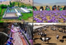 d9bedb8cd8b4d8a8db8cd986db8c d8a7d8b9d8aad8a8d8a7d8b1 dbb8dbb0dbb0dbb0 d985db8cd984db8cd8a7d8b1d8af d8aad988d985d8a7d986db8c d8a8 65a512bfd1733