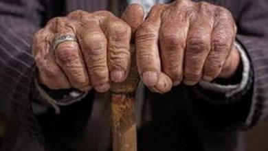 پیشنویس «لایحه حمایت از حقوق سالمندی» آماده شد 8 d9bedb8cd8b4d986d988db8cd8b3 d984d8a7db8cd8add987 d8add985d8a7db8cd8aa d8a7d8b2 d8add982d988d982 d8b3d8a7d984d985d986d8afdb8c 65a51056987fc