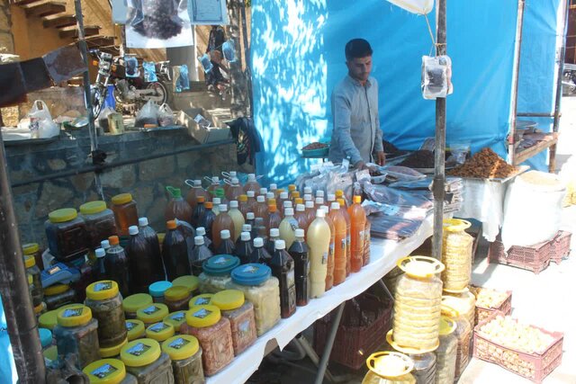 چراغ جشنواره "آلو" ماسوله غرب کشور جان دوباره گرفت 6 چراغ جشنواره "آلو" ماسوله غرب کشور جان دوباره گرفت