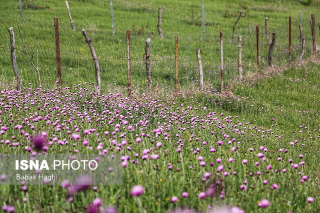 چشم‌اندازهای طبیعی شهرستان گرمی