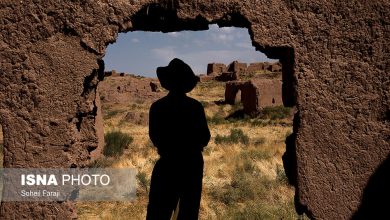 چند پیشنهاد کمیته امداد برای لایحه برنامه هفتم توسعه 4 da86d986d8af d9bedb8cd8b4d986d987d8a7d8af daa9d985db8cd8aad987 d8a7d985d8afd8a7d8af d8a8d8b1d8a7db8c d984d8a7db8cd8add987 d8a8d8b1d986 65a57f2b4e638