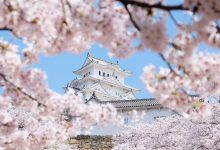 da98d8a7d9bed986 d8a8d987 d985d8add8afd988d8afdb8cd8aad987d8a7db8c daa9d8b1d988d986d8a7 d9bed8a7db8cd8a7d986 d8afd8a7d8af 65a68612b147f