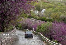 daa9d8afd8a7d985 d8a8d8aed8b4d987d8a7db8c daa9d8b4d988d8b1 d8afd8b1 d8aad8b9d8b7db8cd984d8a7d8aa d8b9db8cd8af d981d8b7d8b1 d8b4 65a528a590bdb