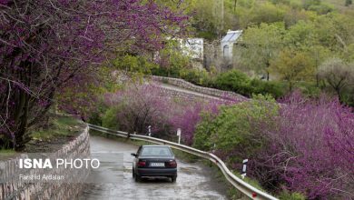 کدام بخشهای کشور در تعطیلات عید فطر شلوغ میشود؟ 2 daa9d8afd8a7d985 d8a8d8aed8b4d987d8a7db8c daa9d8b4d988d8b1 d8afd8b1 d8aad8b9d8b7db8cd984d8a7d8aa d8b9db8cd8af d981d8b7d8b1 d8b4 65a528a590bdb