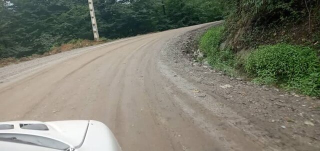 "کدهایی" که تیشه به ریشه جنگل می‌زند