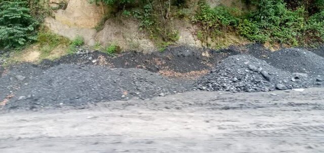 "کدهایی" که تیشه به ریشه جنگل می‌زند