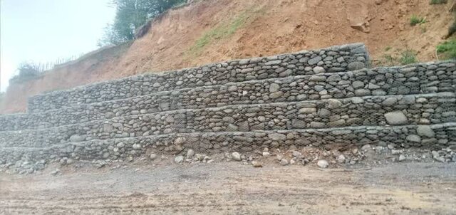 "کدهایی" که تیشه به ریشه جنگل می‌زند