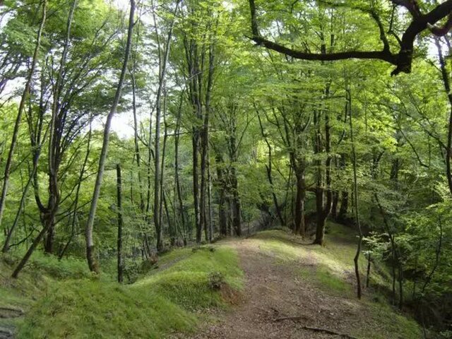 کردکوی در آینه نوروز/ از بهارگردی بر فراز ابرها تا تجربه خنکای آبشار «دِاُو» 2 کردکوی در آینه نوروز/ از بهارگردی بر فراز ابرها تا تجربه خنکای آبشار «دِاُو»